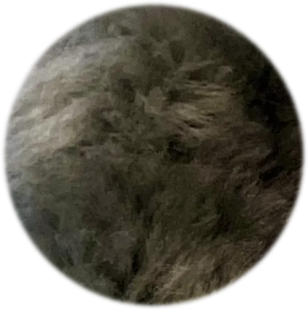 Shearling Fur Grip (Standalone) - Image 28