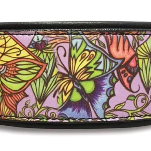 Butterfly Sanctuary